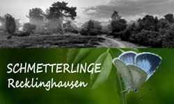 Schmetterlinge des Kreises Recklinghausen